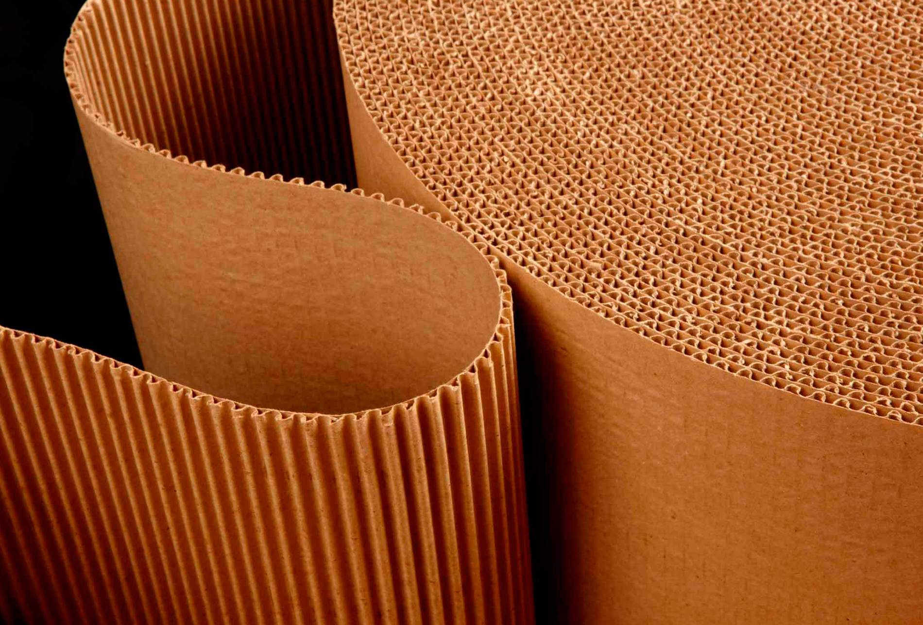 Carton